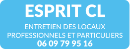 ESPRIT CL ENTRETIEN DES LOCAUX PROFESSIONNELS ET PARTICULIERS 06 09 79 95 16